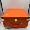 Authentic Ace 2g dispos orange case