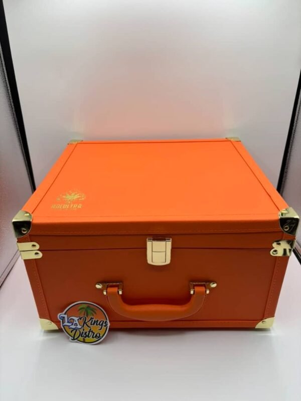 Authentic Ace 2g dispos orange case