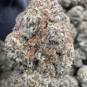 Vanilla Candy Runtz Indoors premium cannabis flower with dense frosty buds, creamy vanilla candy flavor, high THC exotic indoor strain