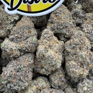 Money Over Hoes Indoors premium cannabis flower with dense frosty buds, high THC hybrid strain, indoor grown exotic weed with sweet gassy aroma