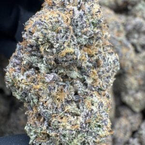 Money Over Hoes Indoors premium cannabis flower with dense frosty buds, high THC hybrid strain, indoor grown exotic weed with sweet gassy aroma