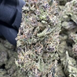 Jealous Berry premium cannabis flower with dense frosty buds, high THC hybrid strain, sweet berry flavor exotic indoor weed