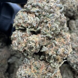 Cherry Gelato Cannabis premium flower with dense frosty buds, sweet cherry flavor, high THC hybrid strain, exotic gelato weed