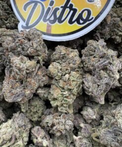 Close-up of Grape Cream Cake Exotics with dense purple-green cannabis buds, orange pistils and frosty trichomes