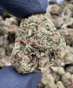 Green Cookie Monster Lows cannabis flower buds with orange pistils beside the LA Kings Distro logo
