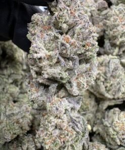 Frosty purple and green Glitter Bomb cannabis flower buds beside the LA Kings Distro logo