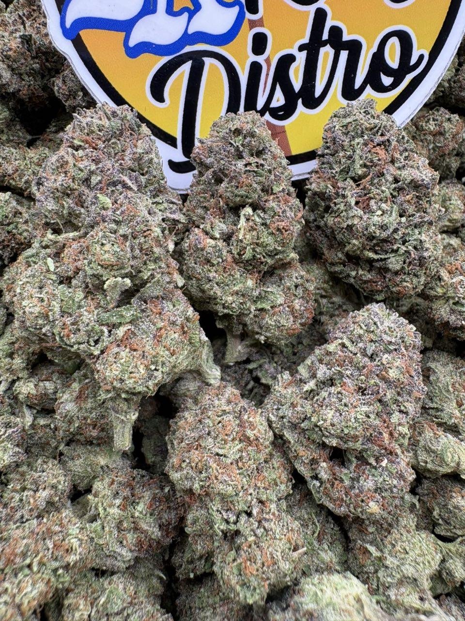 Frosty purple and green Project 4516 cannabis flower buds beside the LA Kings Distro logo Frosty purple and green Project 4516 cannabis flower buds beside the LA Kings Distro logo