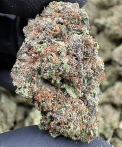 Frosty purple and green Project 4516 cannabis flower buds beside the LA Kings Distro logo