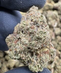 Frosty olive green and purple Gorilla Butter Lows cannabis buds beside the LA Kings Distro logo