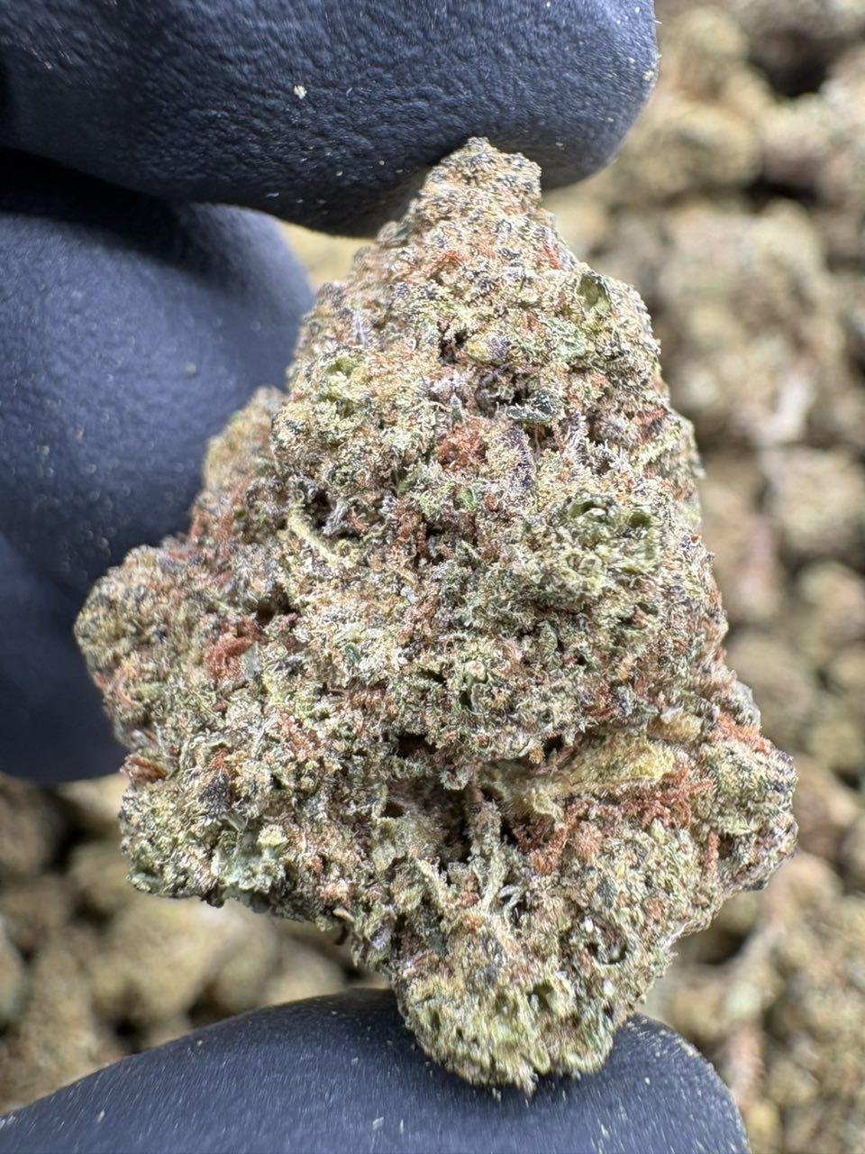 Frosty olive green and purple Gorilla Butter Lows cannabis buds beside the LA Kings Distro logo Frosty olive green and purple Gorilla Butter Lows cannabis buds beside the LA Kings Distro logo