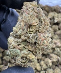 Close-up of chunky green Toxic Lemon Lows cannabis buds beneath the LA Kings Distro sign