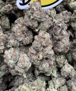 Frosty green and violet Cherry Zlushie cannabis flower buds with copper-orange pistils