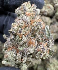Frosty green and violet Cherry Zlushie cannabis flower buds with copper-orange pistils