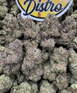 Frosty purple and green Z Runtz cannabis flower buds with bright orange pistils