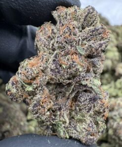 Frosty purple and green Z Runtz cannabis flower buds with bright orange pistils