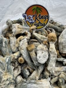 Dried mushrooms presented as Penis Envy with thick stems, compact caps, blue bruising, and an LA Kings Distro sign