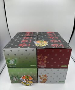 Ruby 1G disposable vape master boxes with assorted Ruby flavors and individual packaged devices