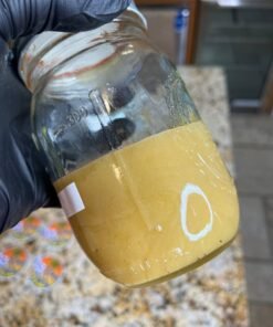 Glass jars labeled 224 Badder containing golden Cat 3 cannabis concentrate