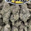 Grape Stomper