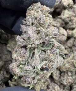 Grape Stomper
