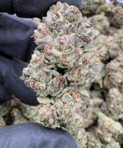 Sherb Cream Pie