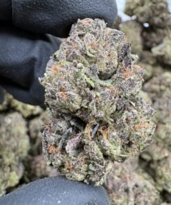 Red Velvet cannabis buds with purple and green coloration, orange pistils and frosty trichomes displayed together