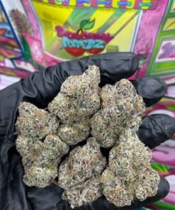 Sweetz Exotics 1LB premium cannabis flower variety box with 16 pre-packed 1oz strains and pink teal packaging