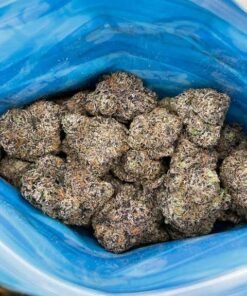 Sweetz Exotics 1LB premium cannabis flower variety box with 16 pre-packed 1oz strains and pink teal packaging